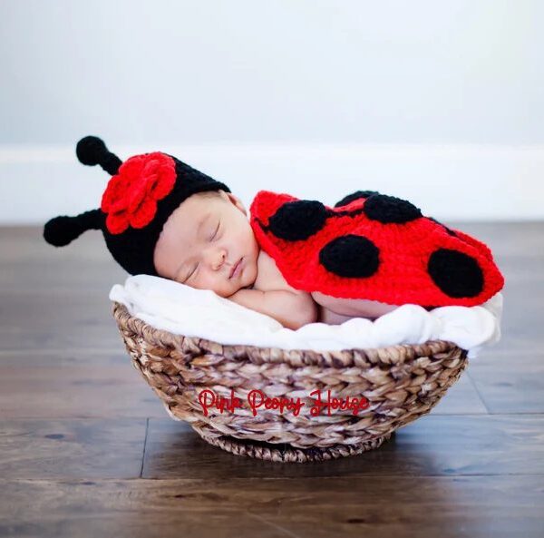 2 piece crochet ladybug photo prop set - wings hat - costume 0-6m newborn